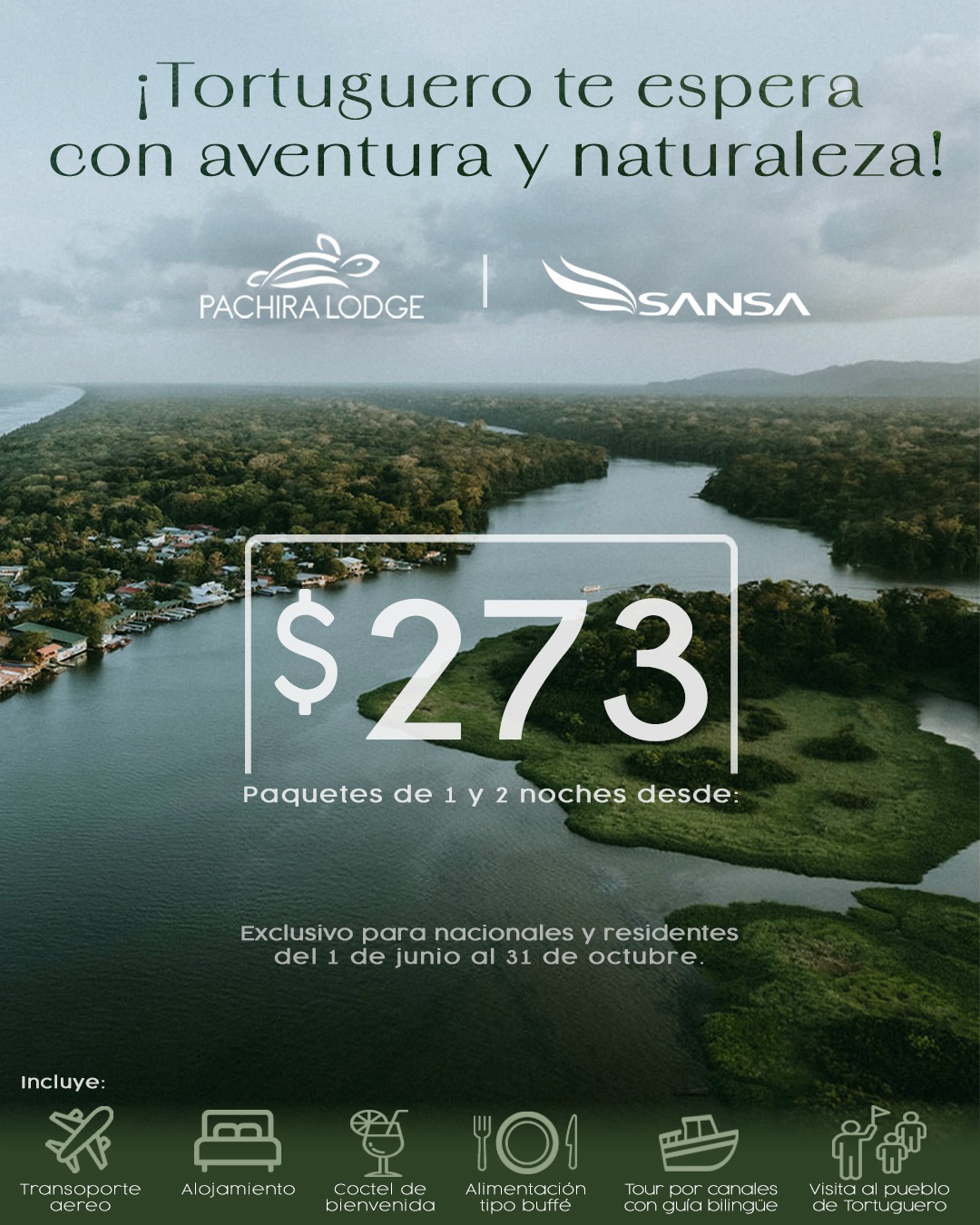 Pachira Offer