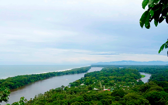 Tour al Cerro de Tortuguero