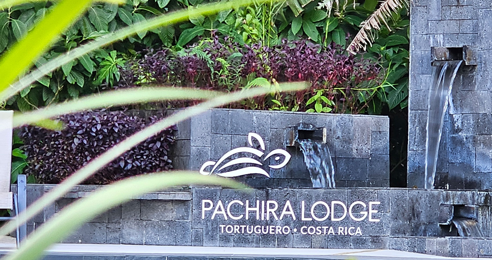 Hotel Pachira Lodge