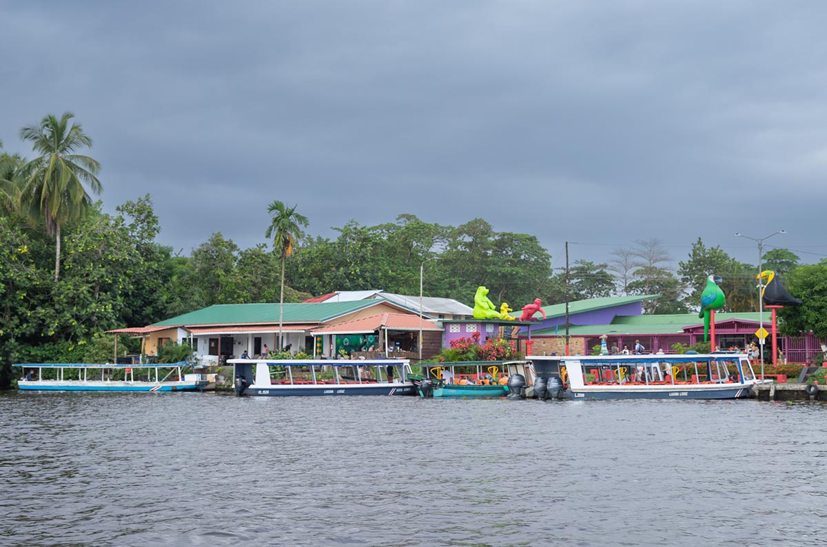 Hotel Pachira Lodge